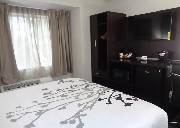 Hotel Sleep & Tallahassee-capitol 4*